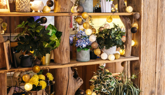 Bella-ciao-visuals-2